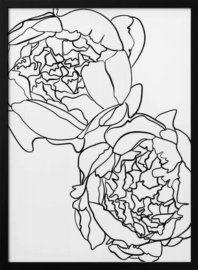 Sally's peonies in black and white Poster