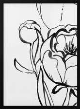 Anuman peony line art Poster