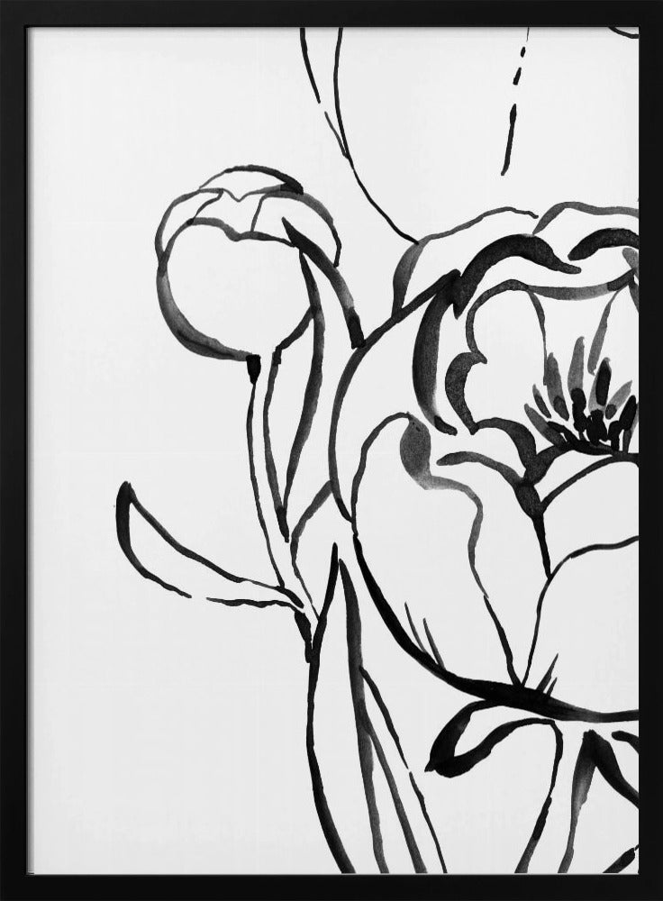 Anuman peony line art Poster