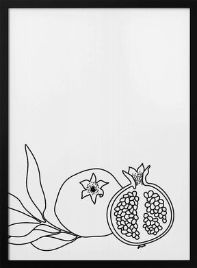 Pomegranate line art Poster