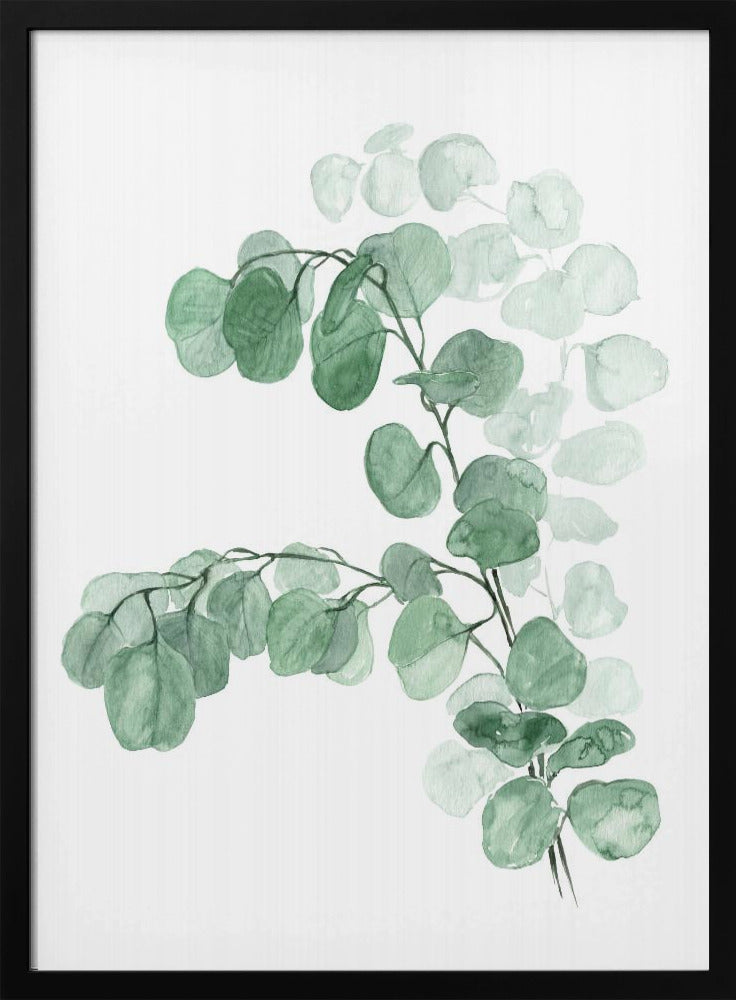 Watercolor silver dollar eucalyptus Poster