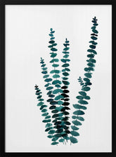 Teal watercolor eucalyptus I Poster