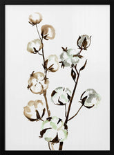 Watercolor cotton branch II Poster