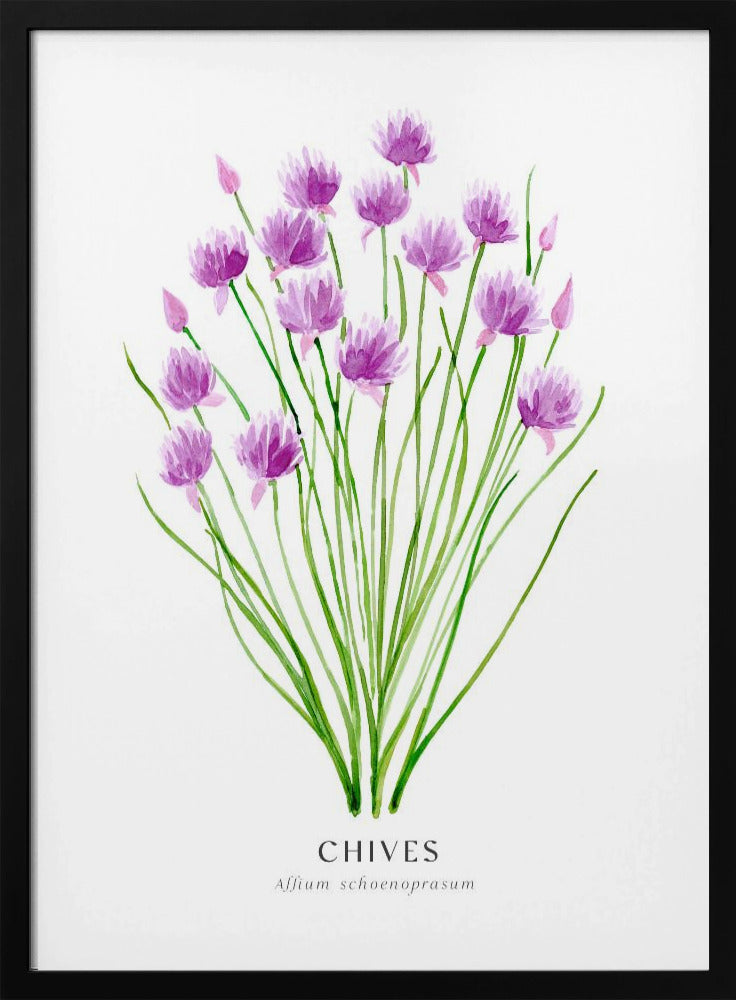 Chives I Poster