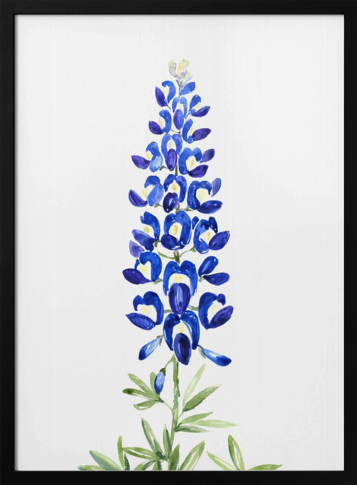 Watercolor Texas bluebonnet Poster