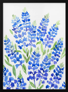 Watercolor Texas bluebonnets Poster