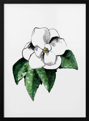 White magnolia Poster