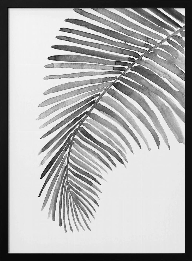 Palm leaf in loose watercolor Black and White Poster