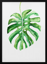 Monstera Leaf Poster