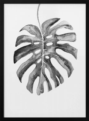 Black and White Monstera Leaf Poster