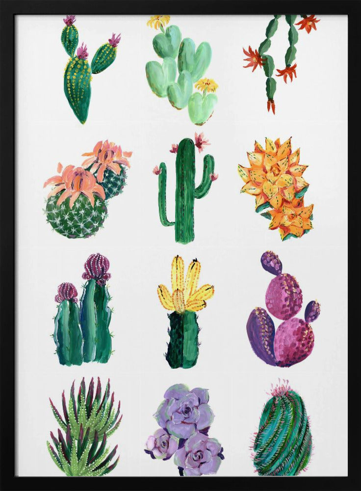 Collection of cacti Poster