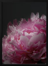 Moody pink peony I Poster