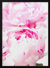 Pink peony X Poster