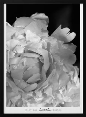 Enjoy the little things peony BW Poster