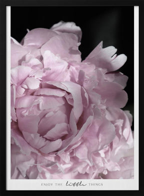 Enjoy the little things peony Poster