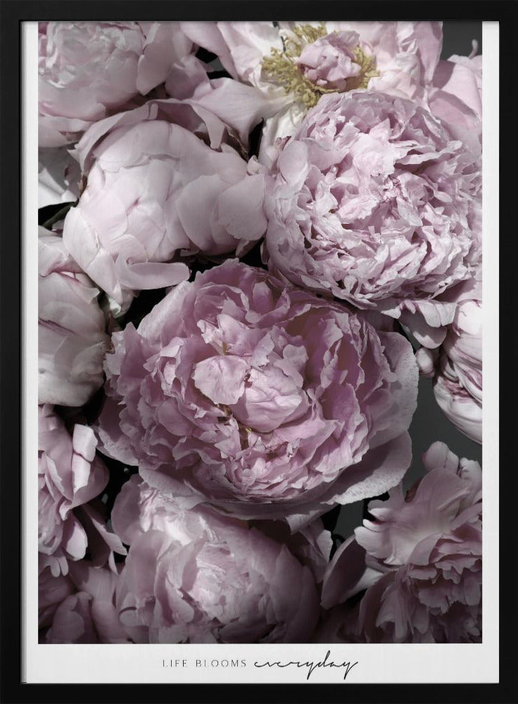 Life blooms everyday peonies Poster