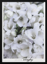 Distressed freesias II Poster