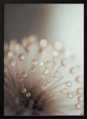 Glassy Flower Poster