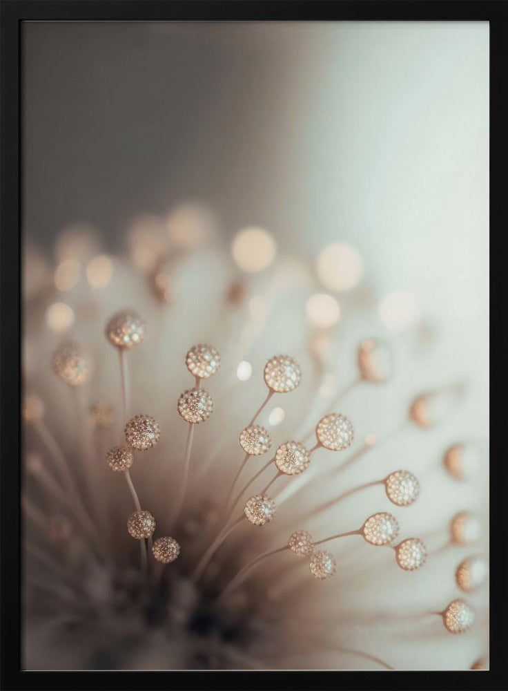 Glassy Flower Poster