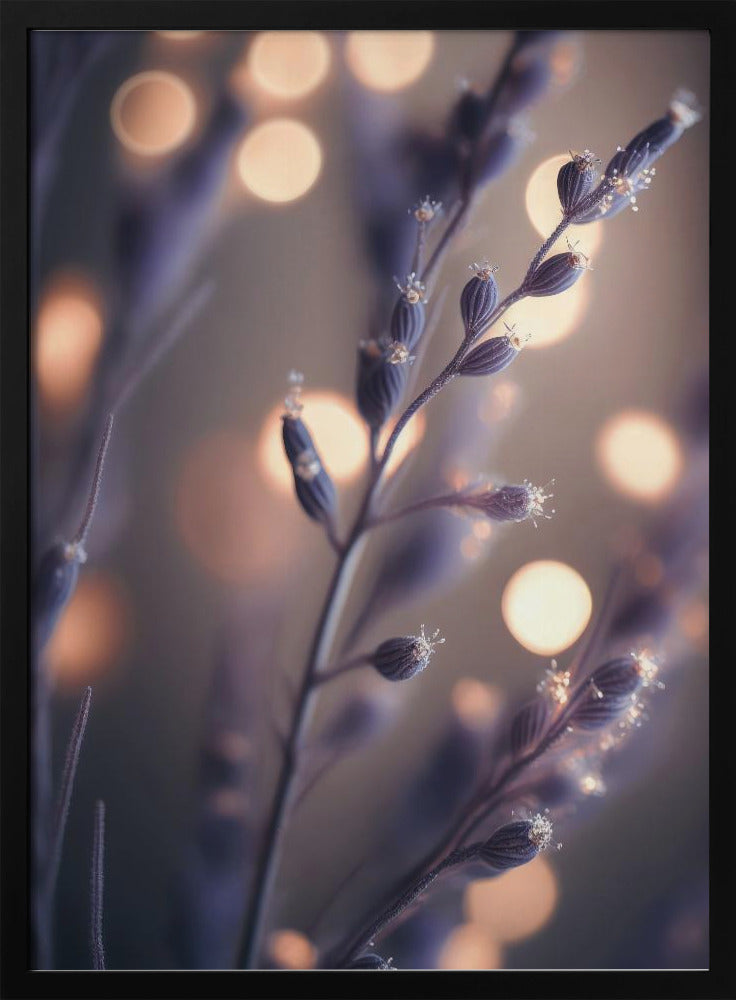 Lavender Macro Poster