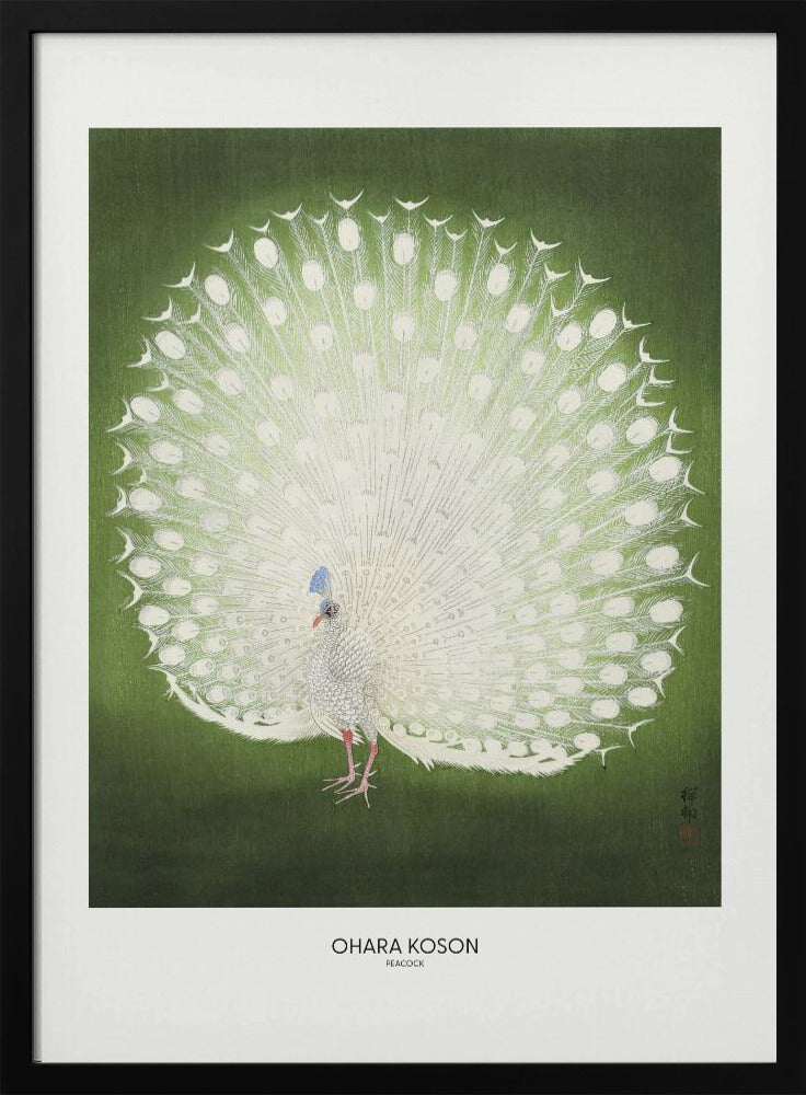 Peacock - Wide Poster