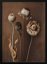 Three Dry Flowers Poster