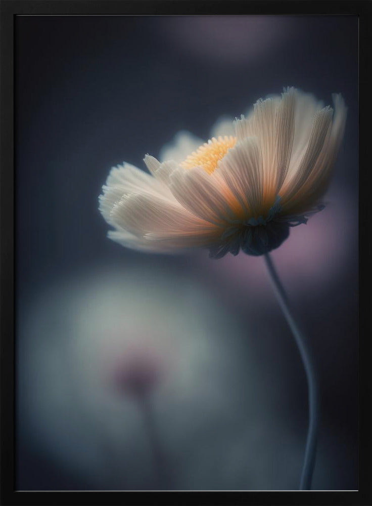 Dreamy Flower Poster