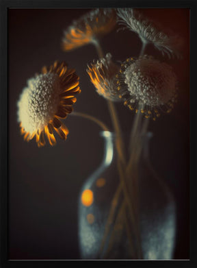 Flowers In Low Light Poster