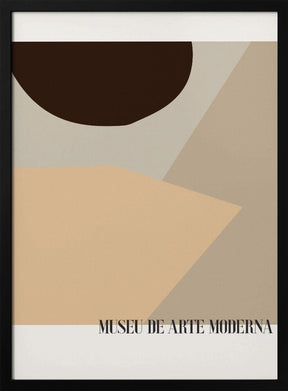 Museu De Arte Moderna 01 Poster