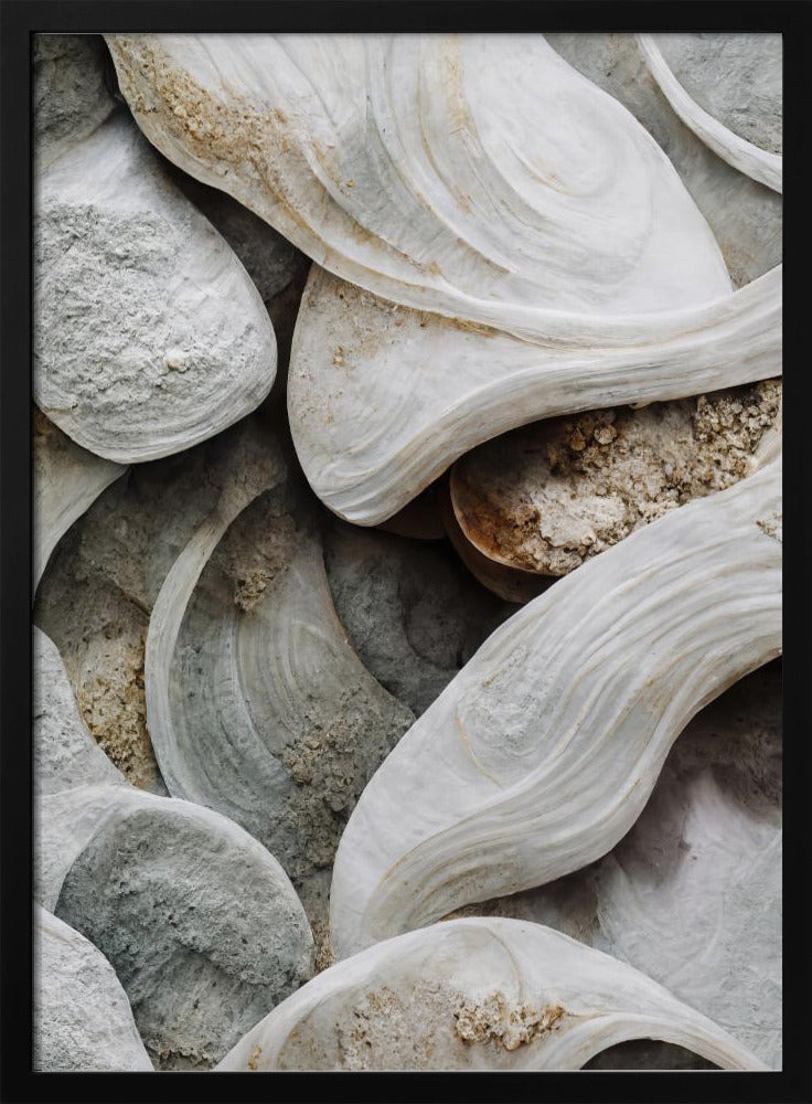 Sea Shells Detail No 3 Poster