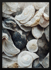 Sea Shells Detail No 4 Poster