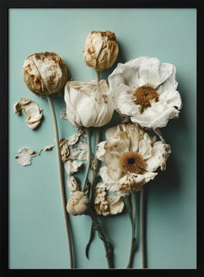 Dry Flowers on Turquoise Background Poster