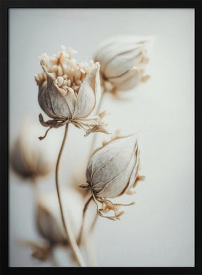 Beige Felt Flowers Poster