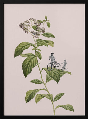 Botanical cycling Poster