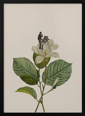 Botanical vintage cameraman Poster