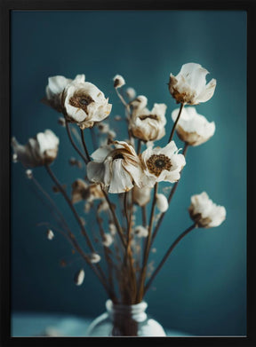 White Flowers On Turquoise Background Poster