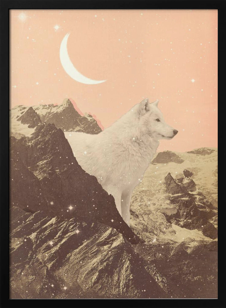 Giant White Wolf In Mountains Poster