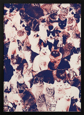 Cats Forever Poster