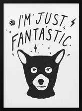 Im Just Fantastic Poster