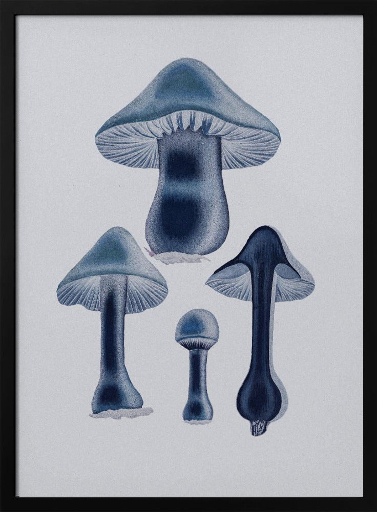 Agaricus Bulbosus - Blue Poster