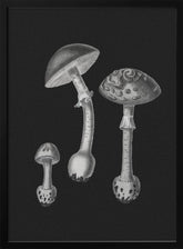 Amanita Muscaria  Black Backgound BW Poster