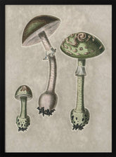 Amanita Muscaria Remix Green Poster