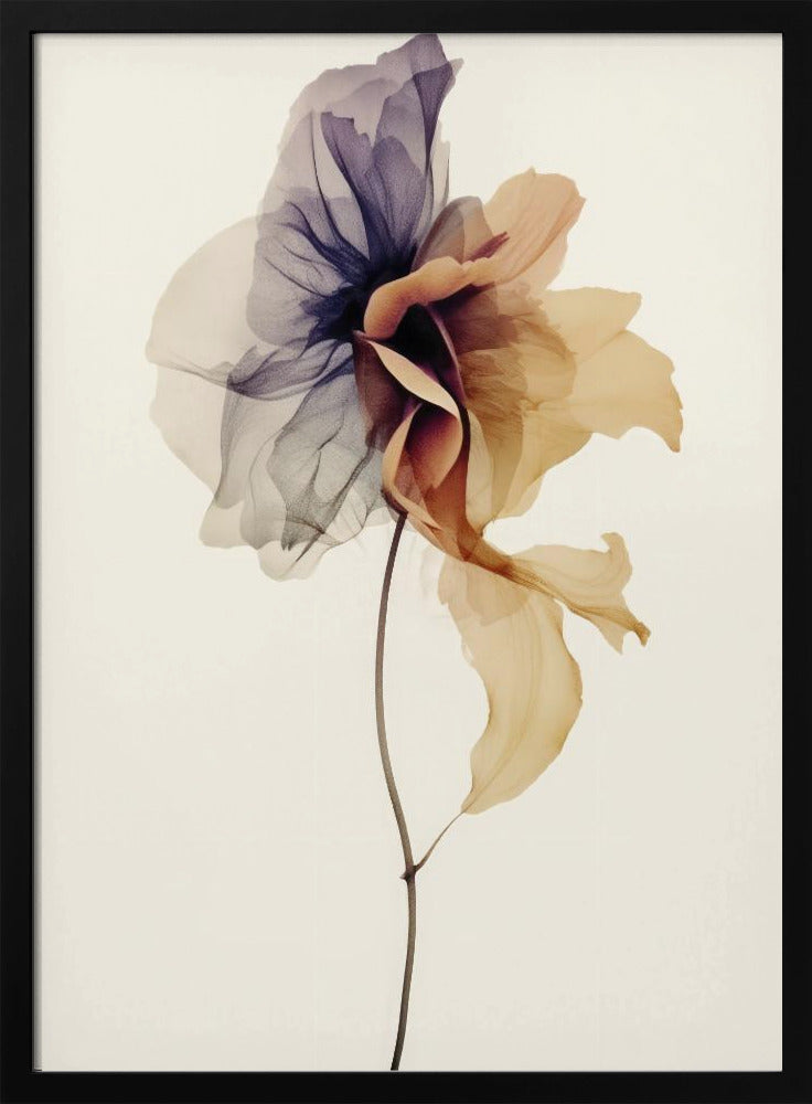 Chiffon Flower Poster