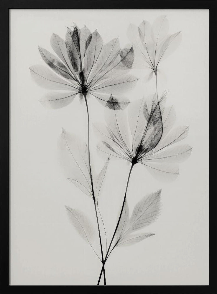 Transparent Botanic No 4 Poster
