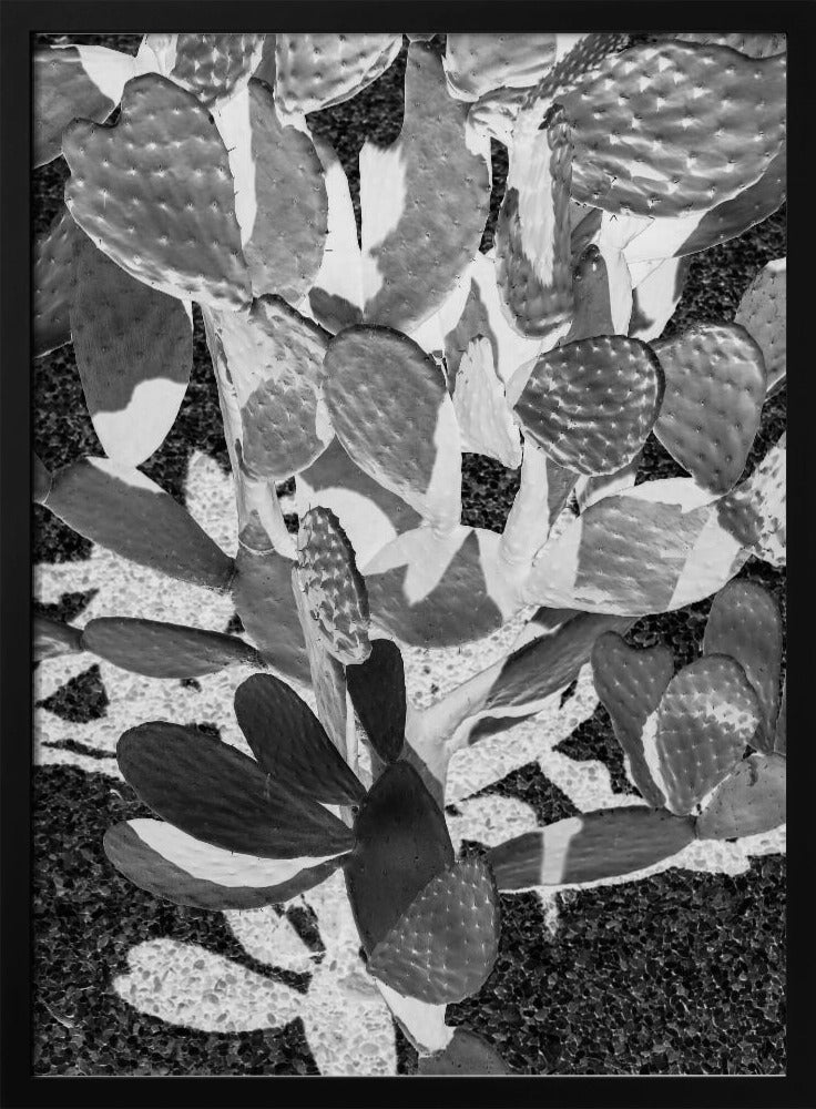 Cacti Cowboy No2 Poster