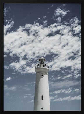 Cape Point Poster