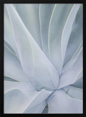 Crystal Cactus No2 Poster