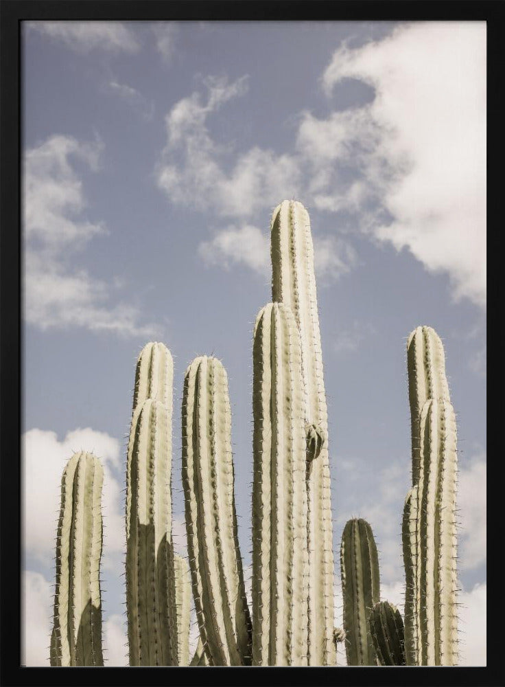 Desert Cathedral No2 Poster