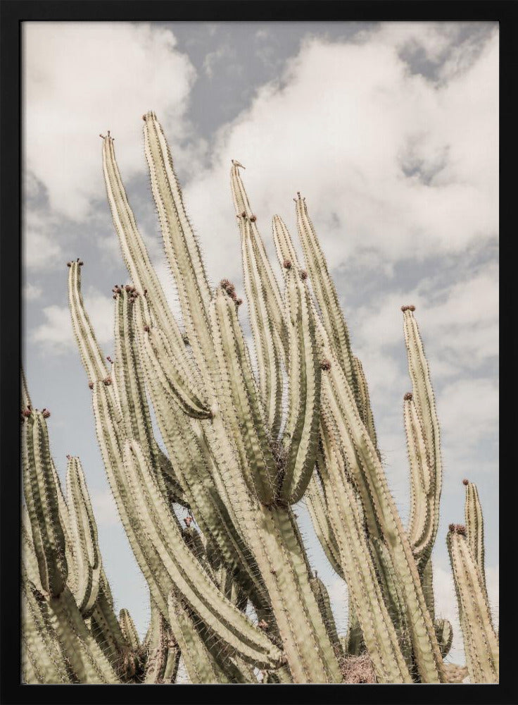 Desert Cathedral Poster