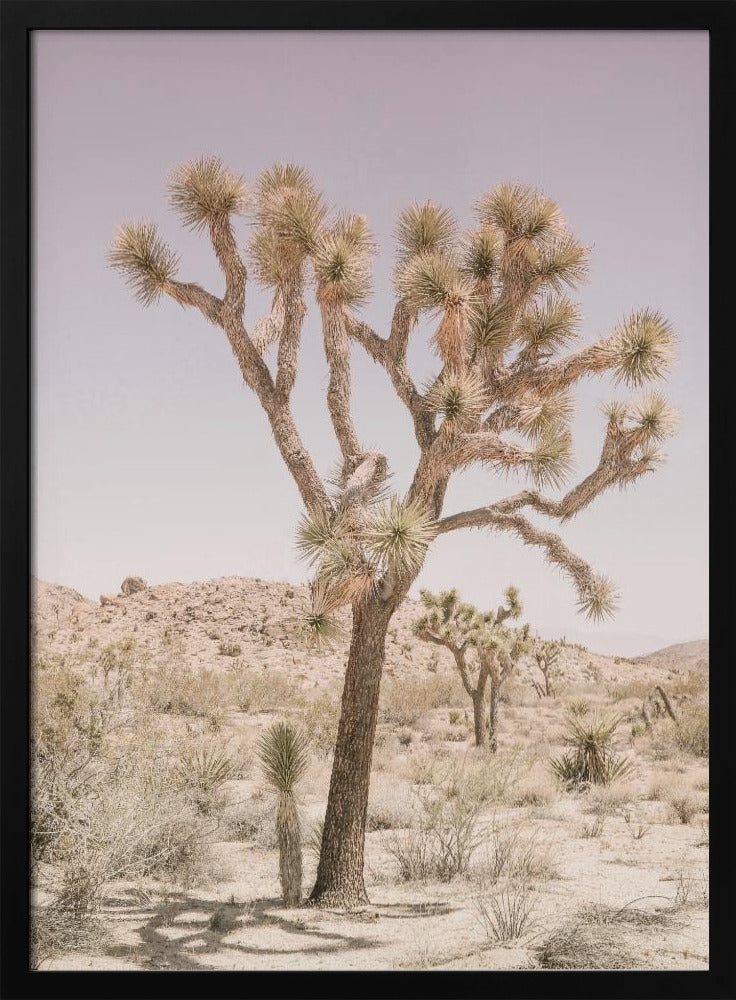 Joshua Tree Poster